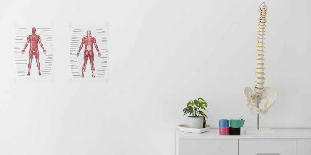 physiotherapy-clinic-with-spine-skeleton-table.png